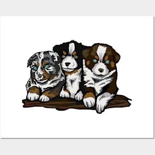 Australian Shepherd Dog Puppy Posters and Art